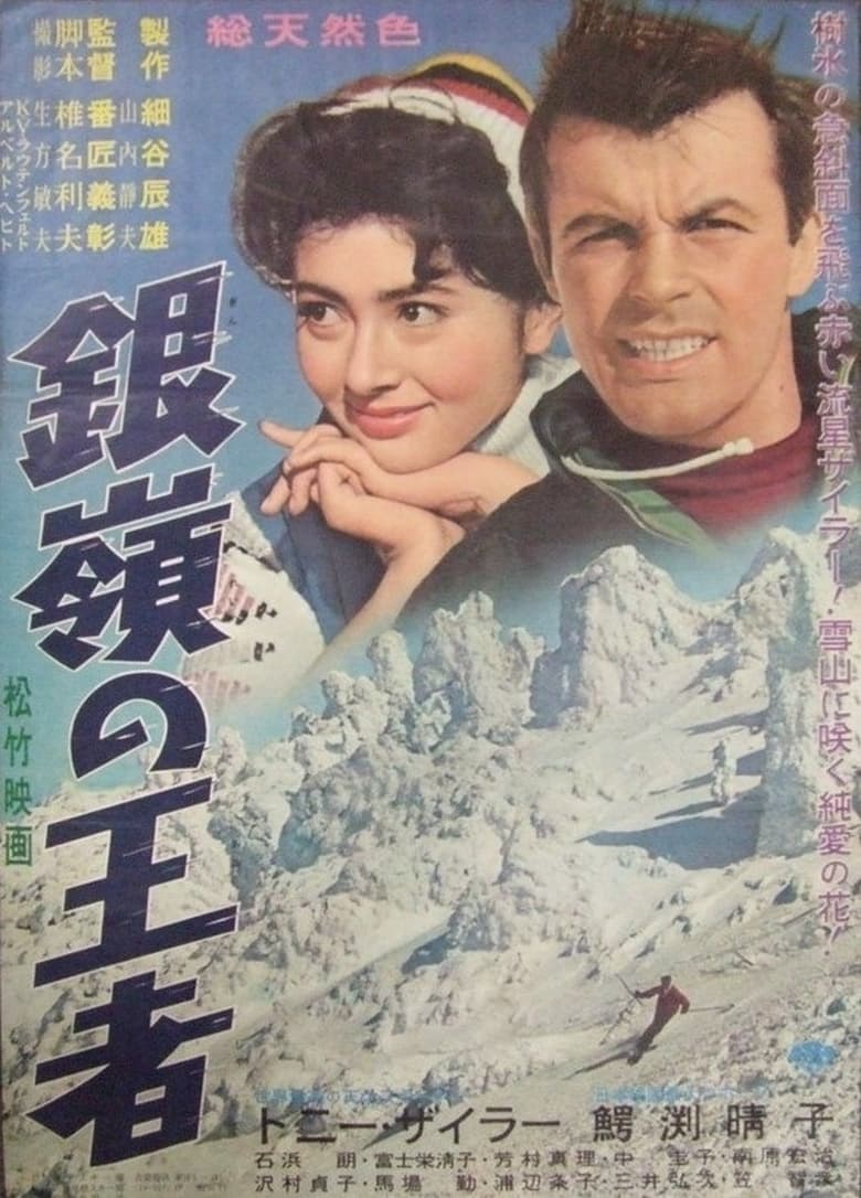 Poster of Storm on the Silvery Peaks