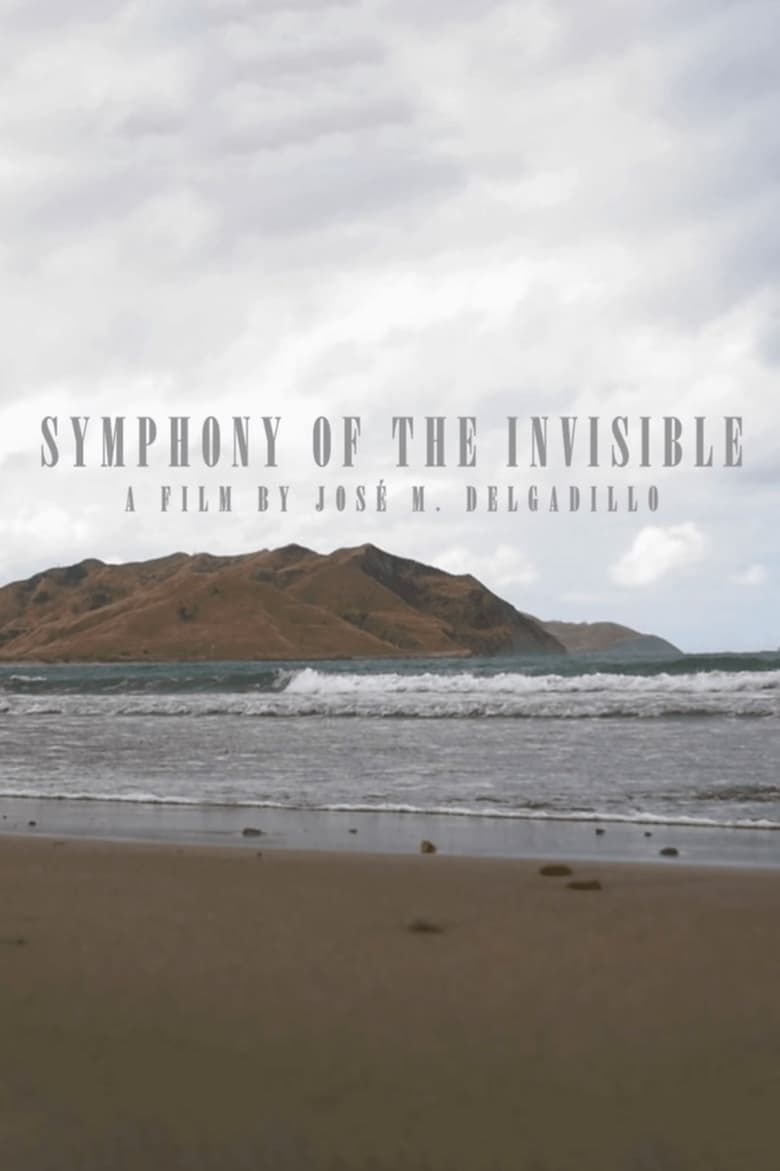 Poster of Symphony Of The Invisible