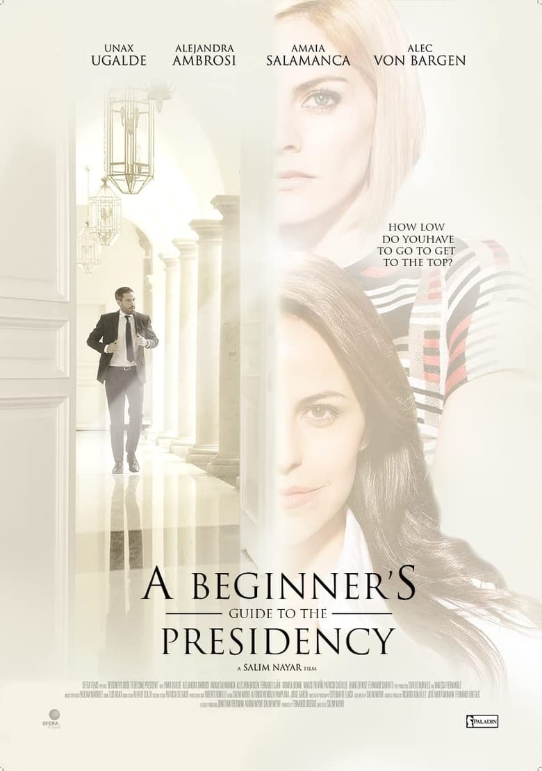 Poster of A Beginner's Guide to the Presidency