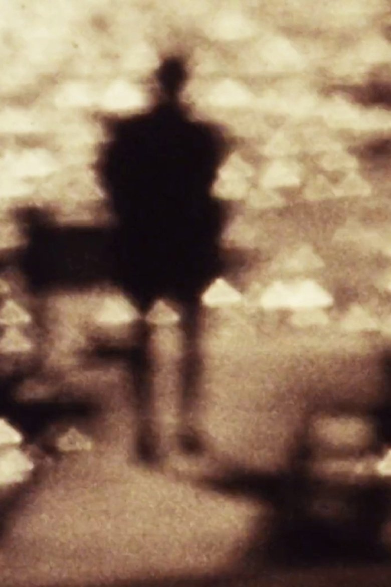 Poster of Elemental Vision or a film for the rest of my life