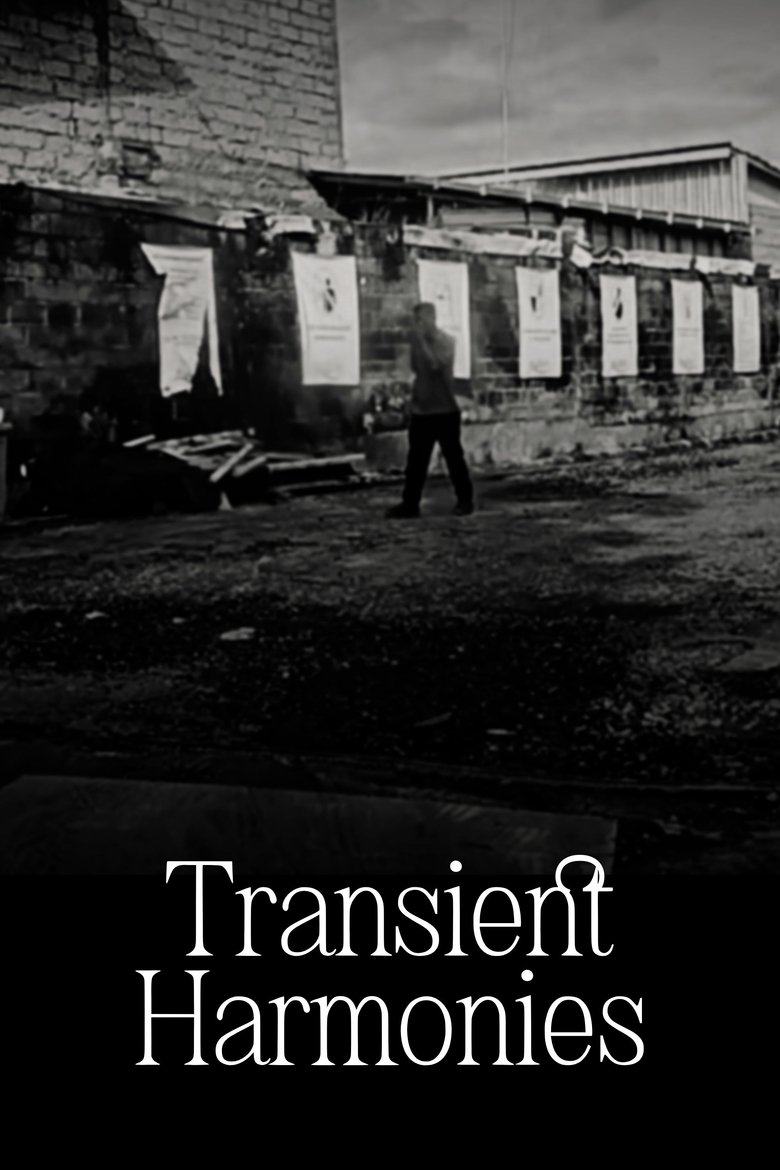 Poster of Transient Harmonies