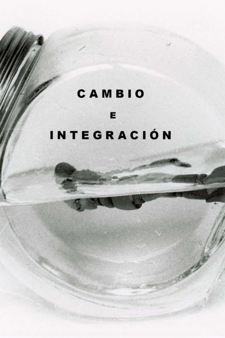 Poster of Cambio e Integración