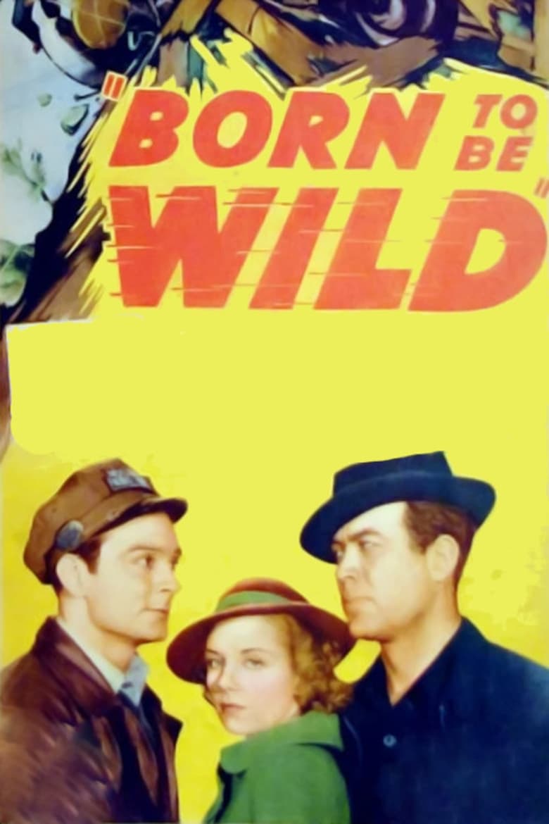 Poster of Born to Be Wild