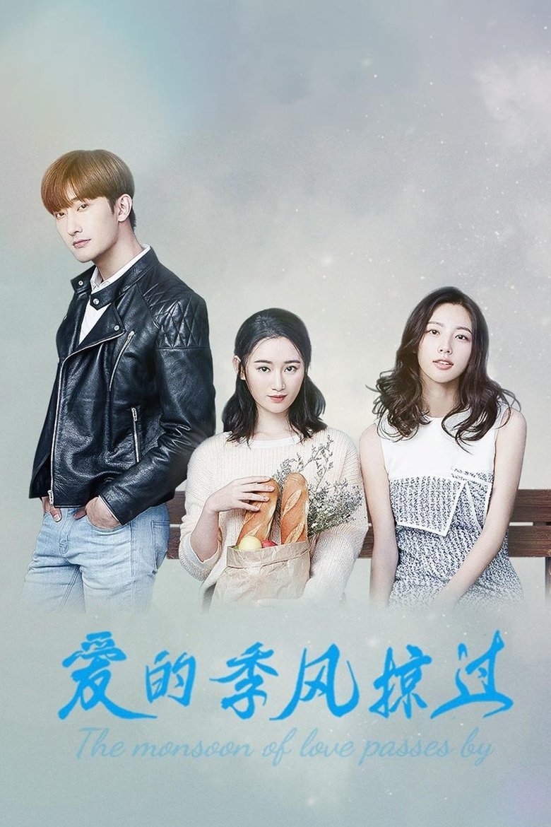 Poster of The Monsoon of Love Passes by