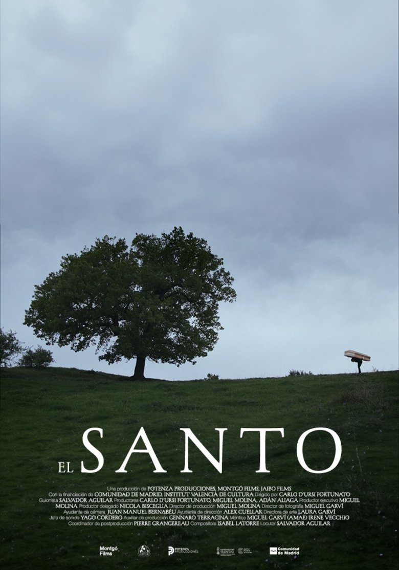 Poster of El santo
