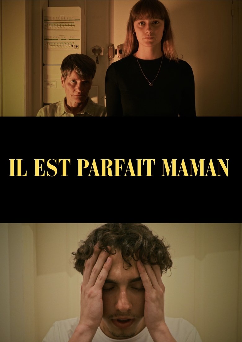 Poster of He's perfect mom
