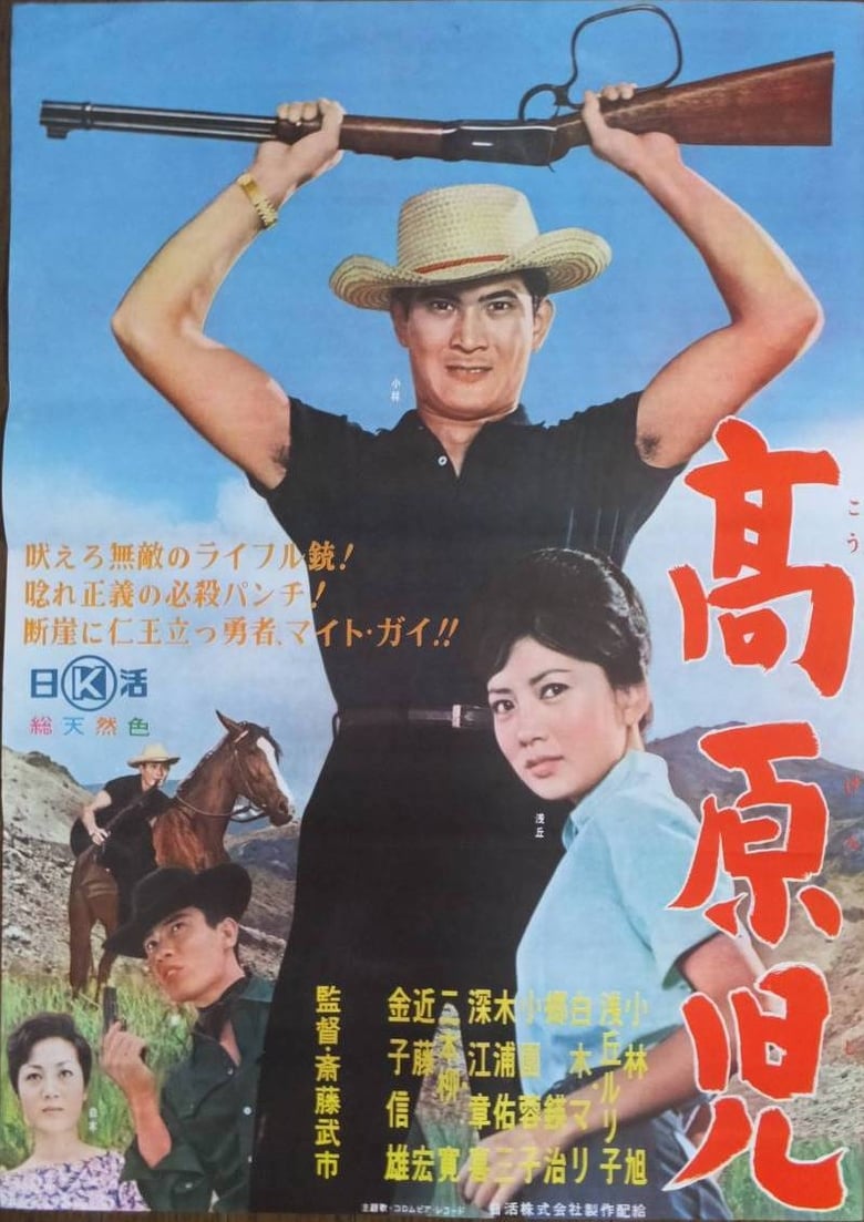 Poster of The Plateau Man