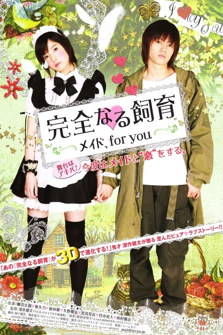 Poster of Perfect Education: A Maid for You