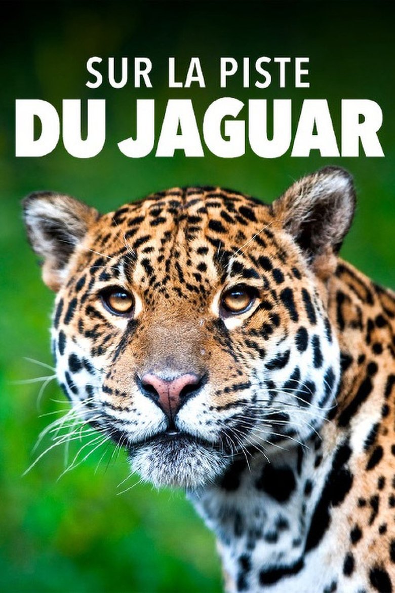 Poster of Sur la piste du jaguar au Guyana