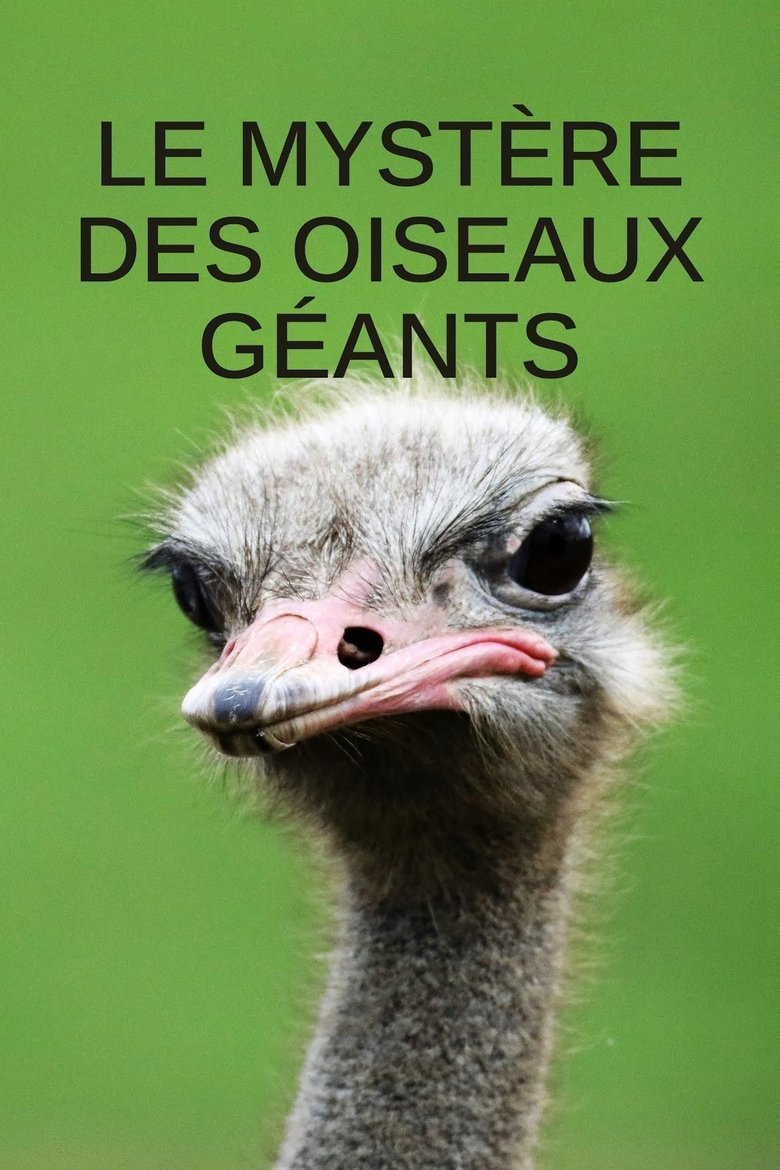 Poster of Mystery of the Giant Birds