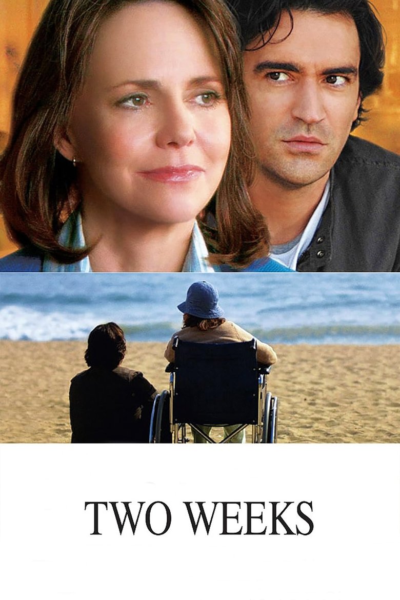 Poster of Two Weeks