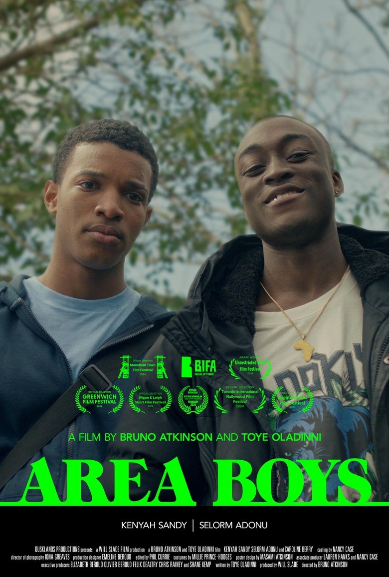 Poster of Area Boys