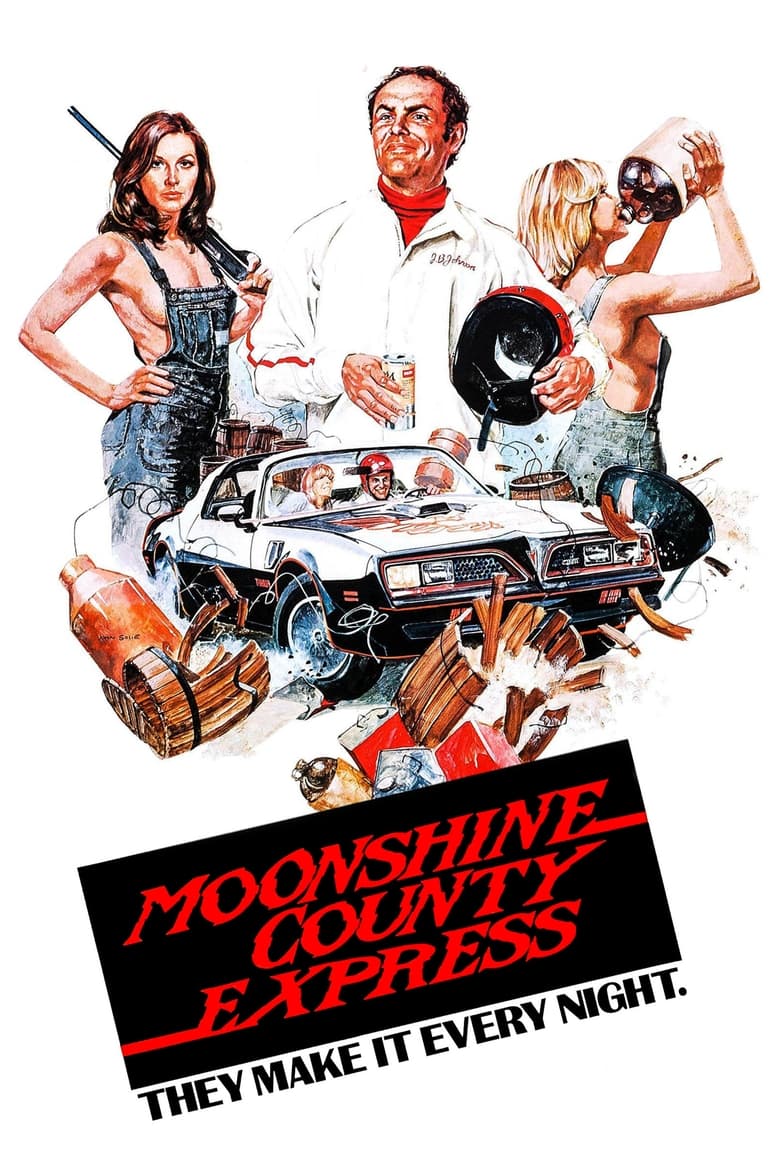 Poster of Moonshine County Express