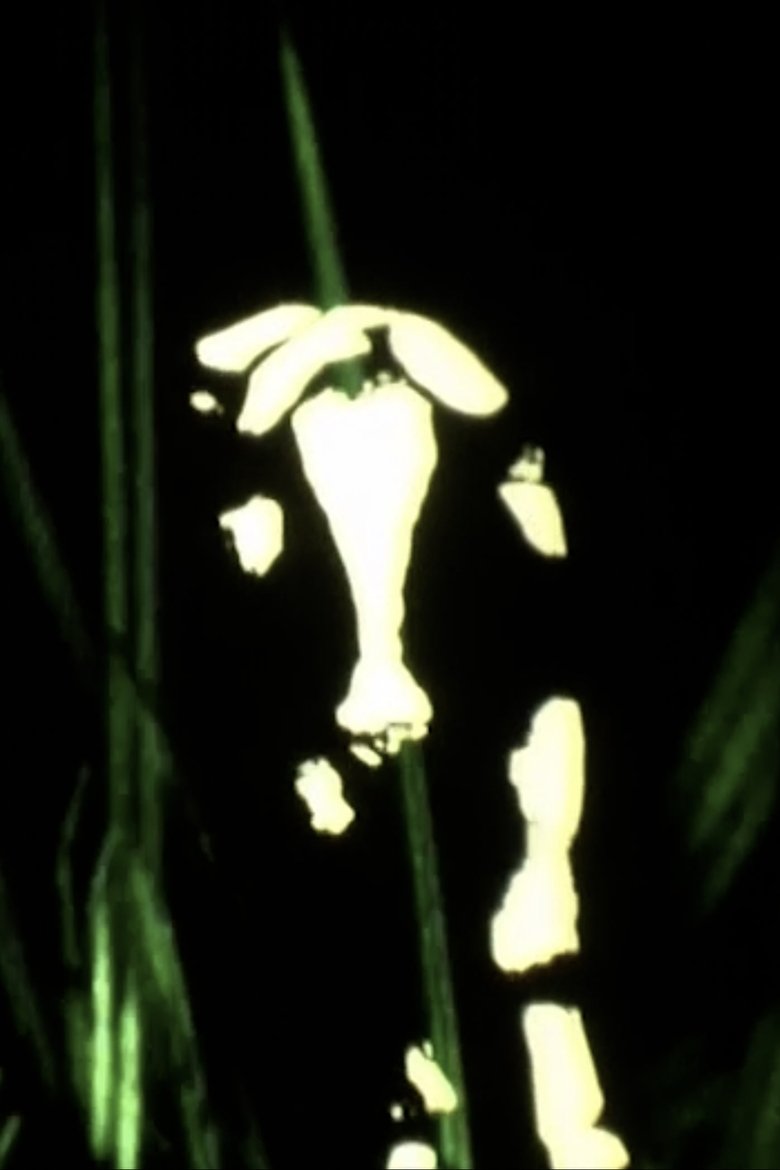 Poster of Vacas