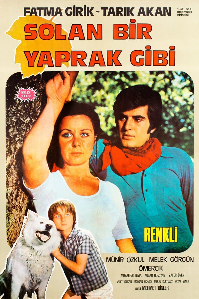 Poster of Solan Bir Yaprak Gibi