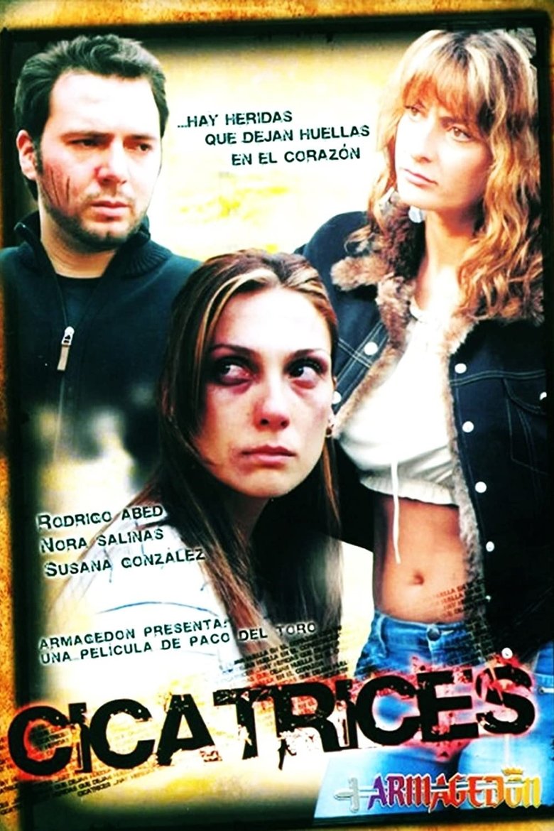 Poster of Scars
