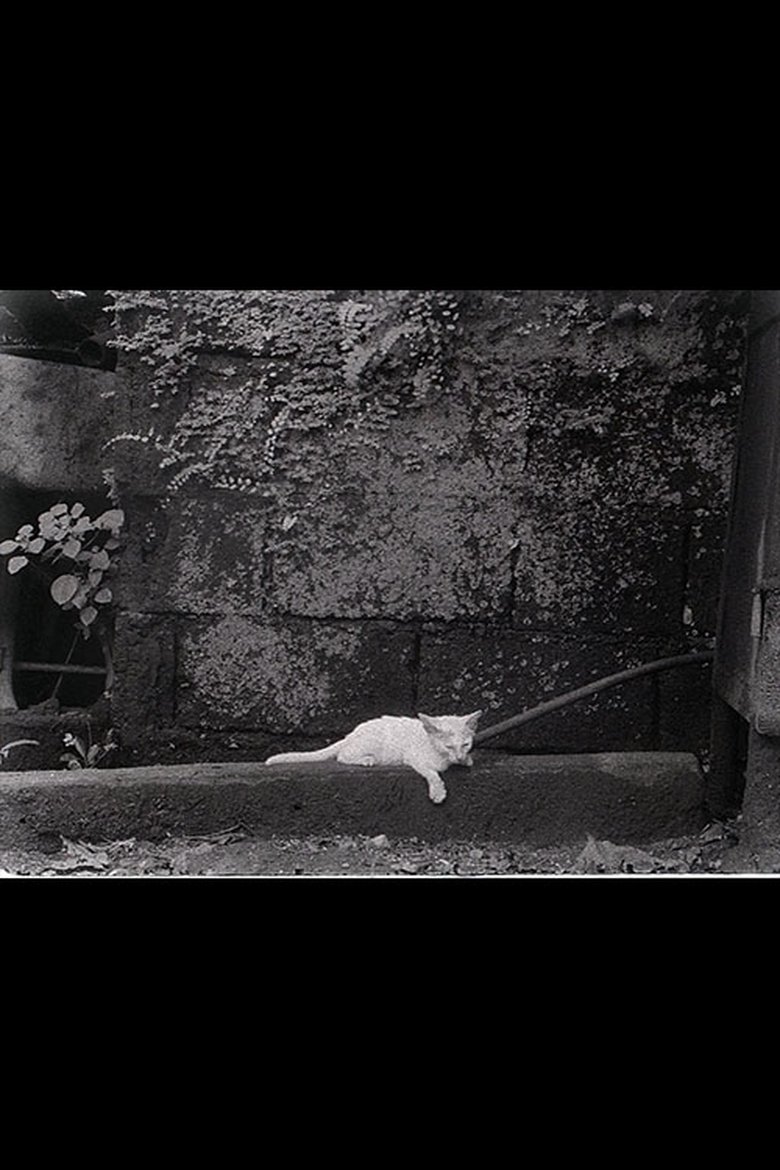 Poster of Director's Cat