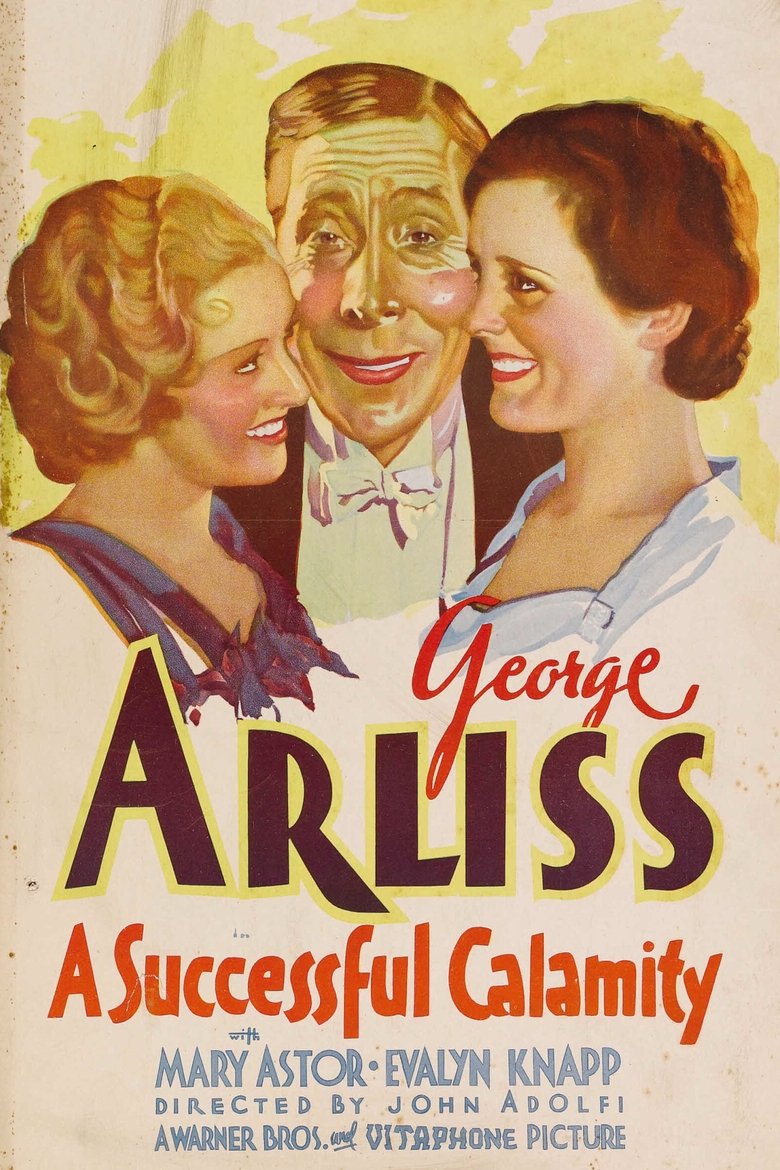 Poster of A Successful Calamity