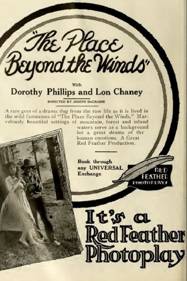 Poster of The Place Beyond the Winds