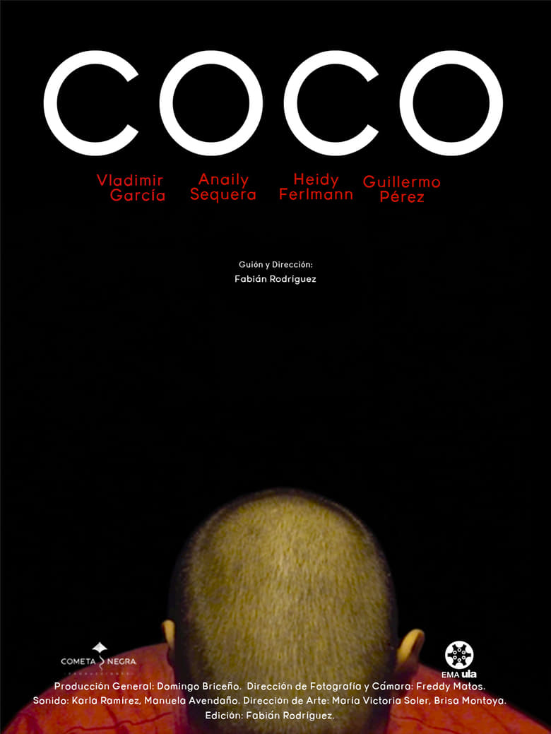 Poster of COCO