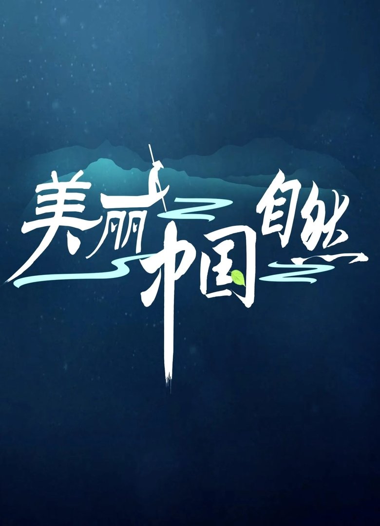 Poster of Amazing China