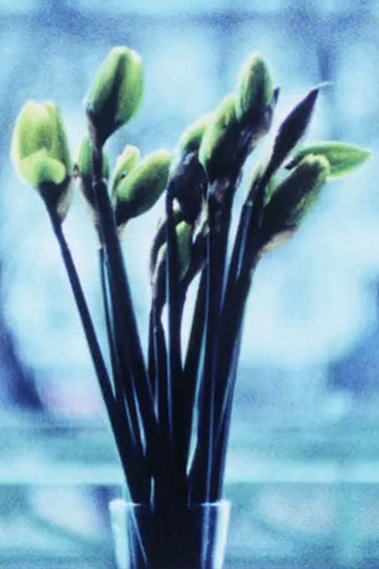 Poster of Narcissi