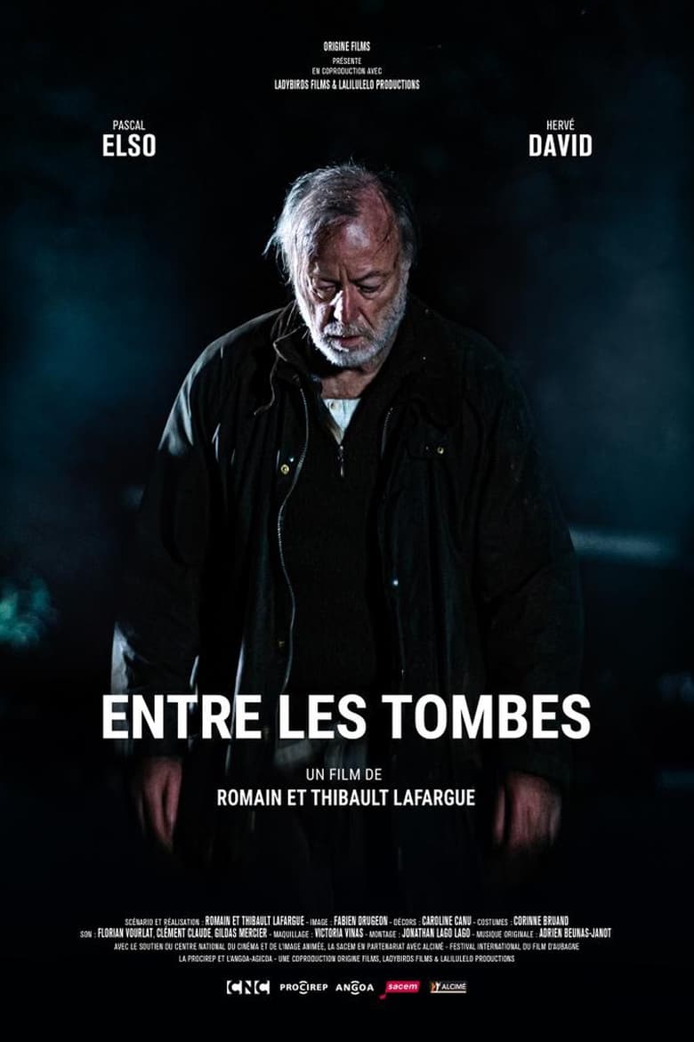 Poster of Entre les tombes