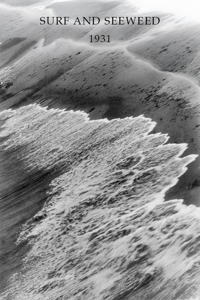 Poster of Surf and Seaweed