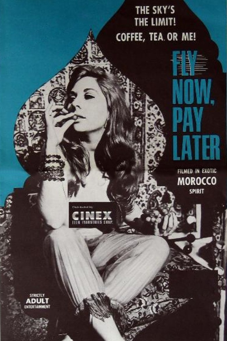 Poster of Fly Now, Pay Later