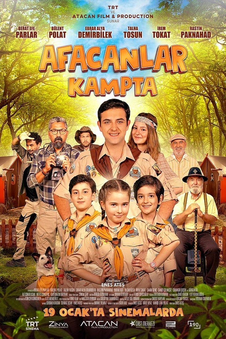 Poster of Afacanlar Kampta