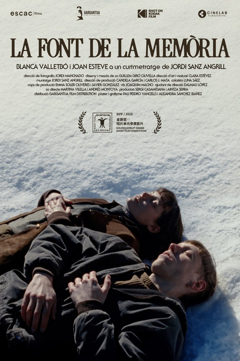 Poster of The Fountain of Memory