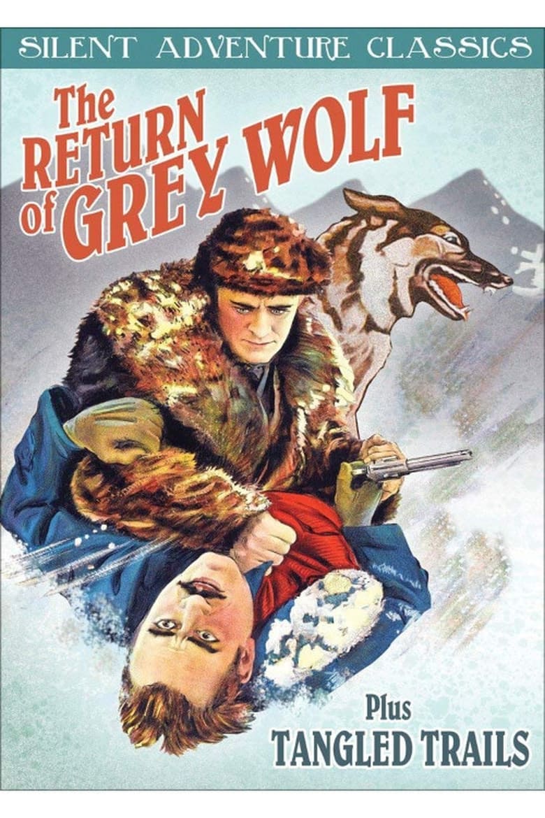 Poster of The Return of Grey Wolf