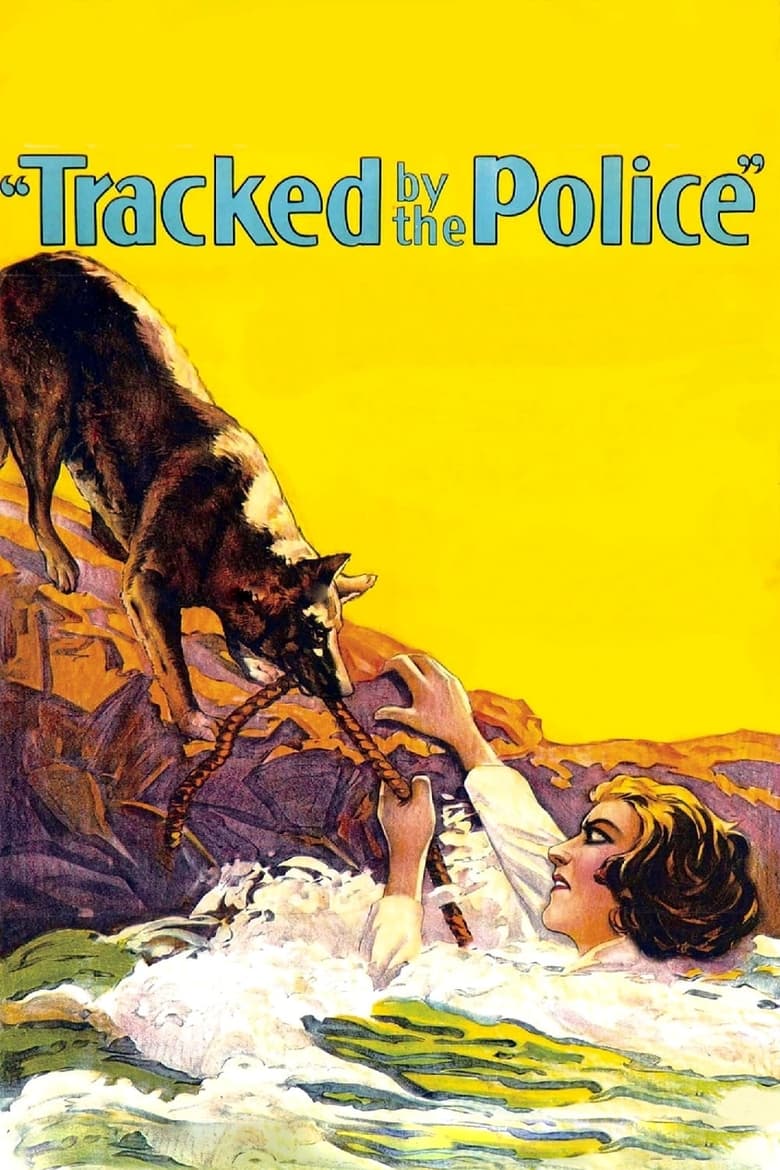 Poster of Tracked by the Police