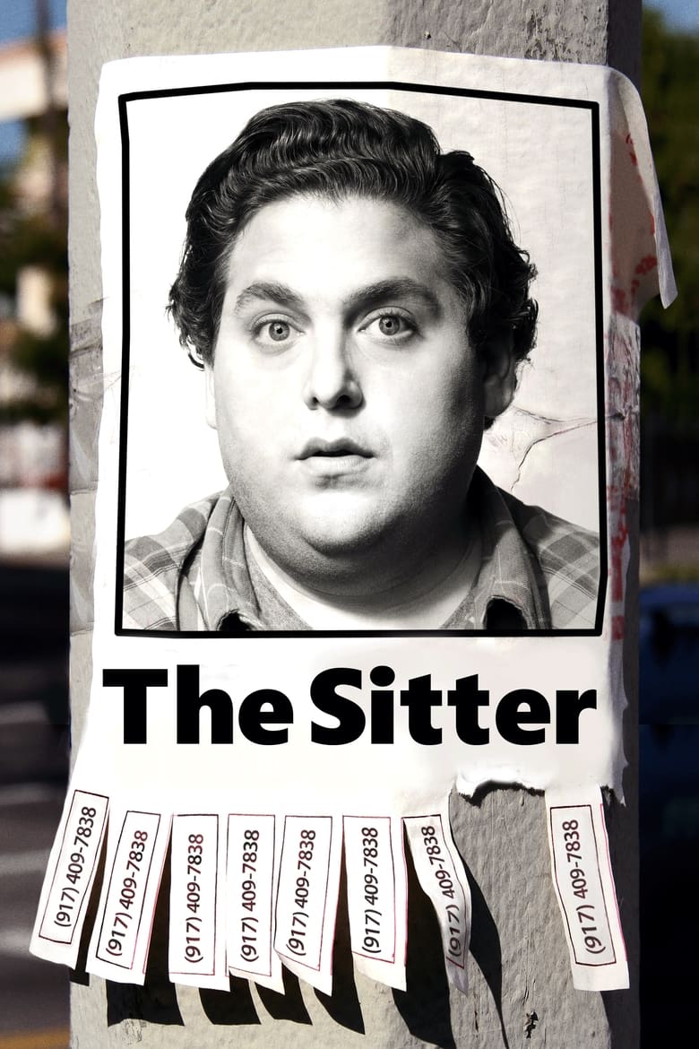 Poster of The Sitter