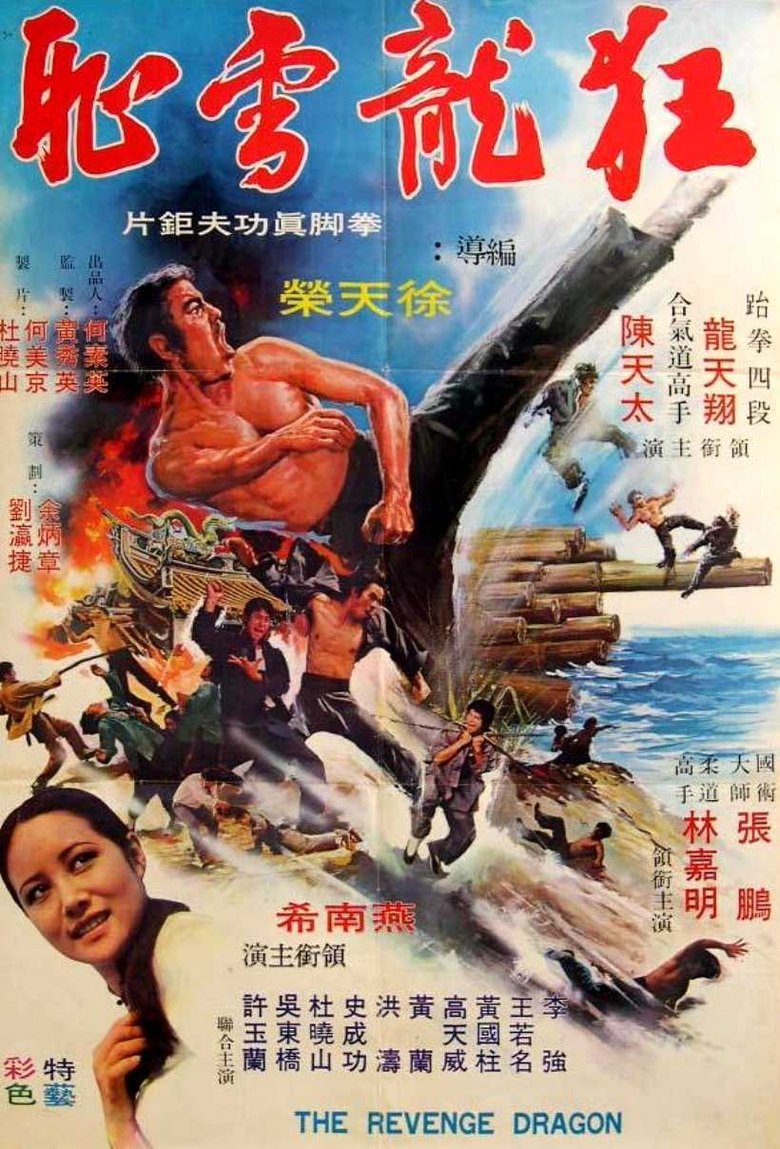 Poster of Dragon Force Operation