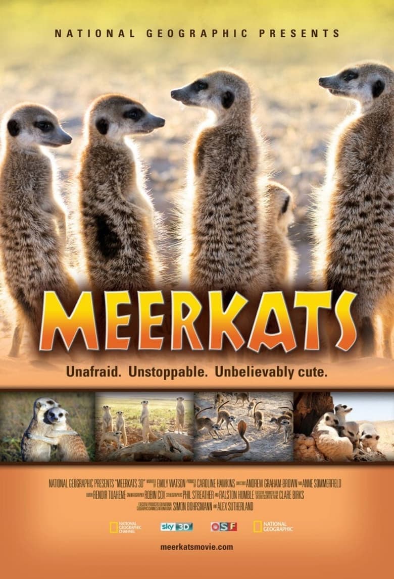 Poster of Meerkats 3D