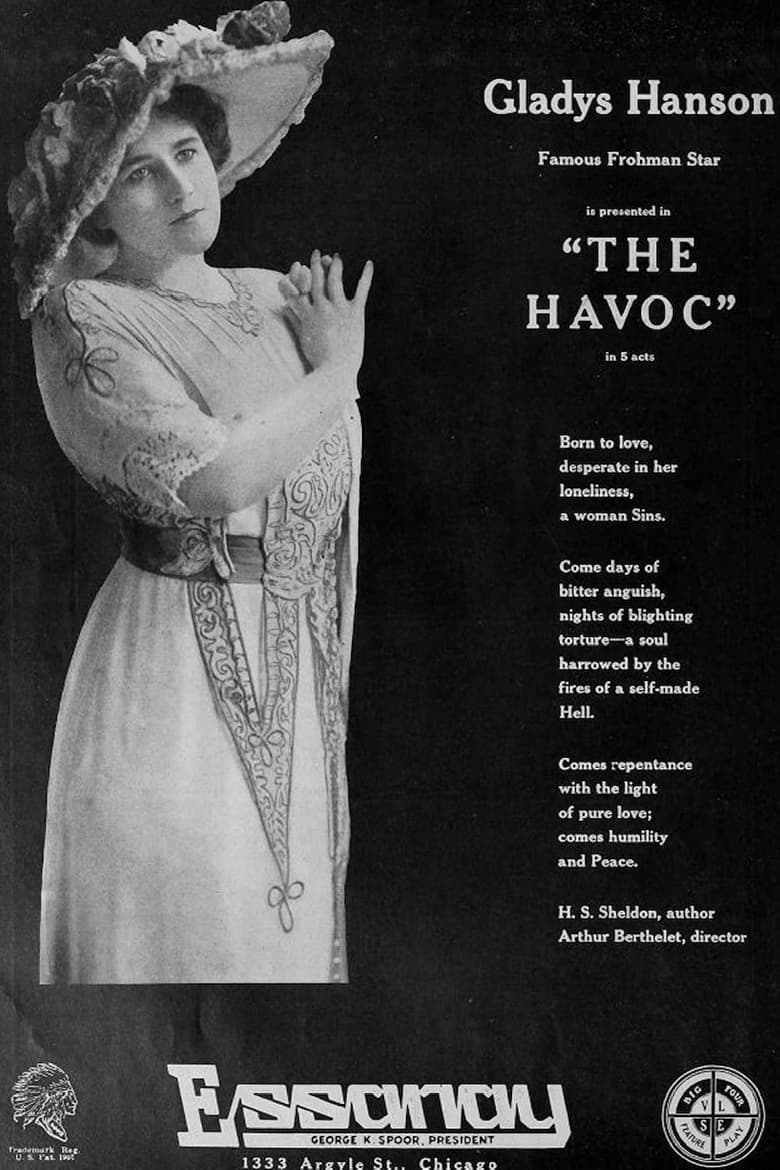 Poster of The Havoc