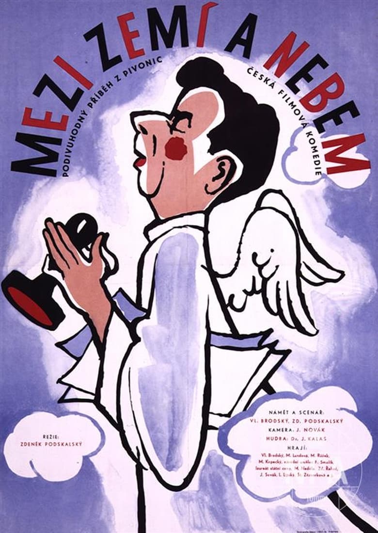 Poster of Mezi nebem a zemí