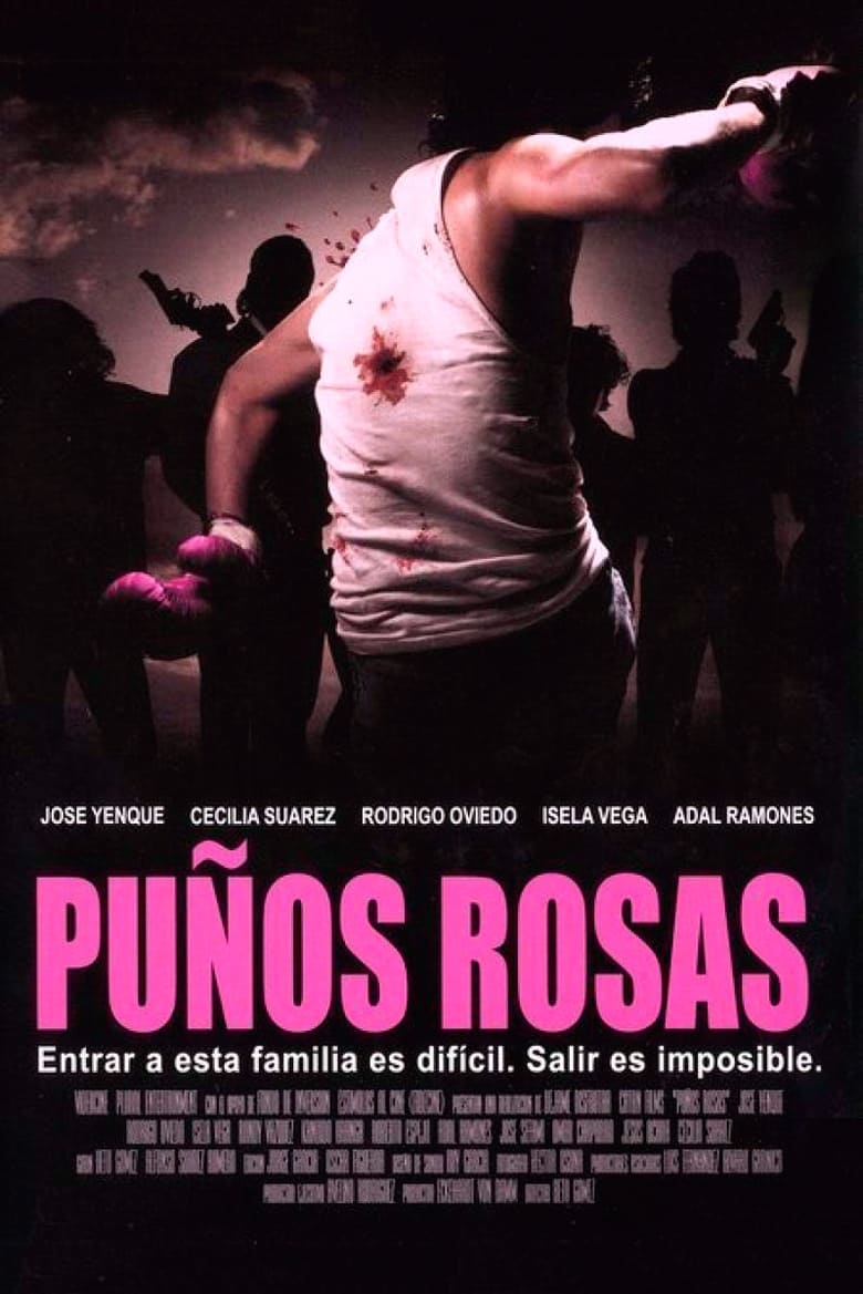 Poster of Pink Punch