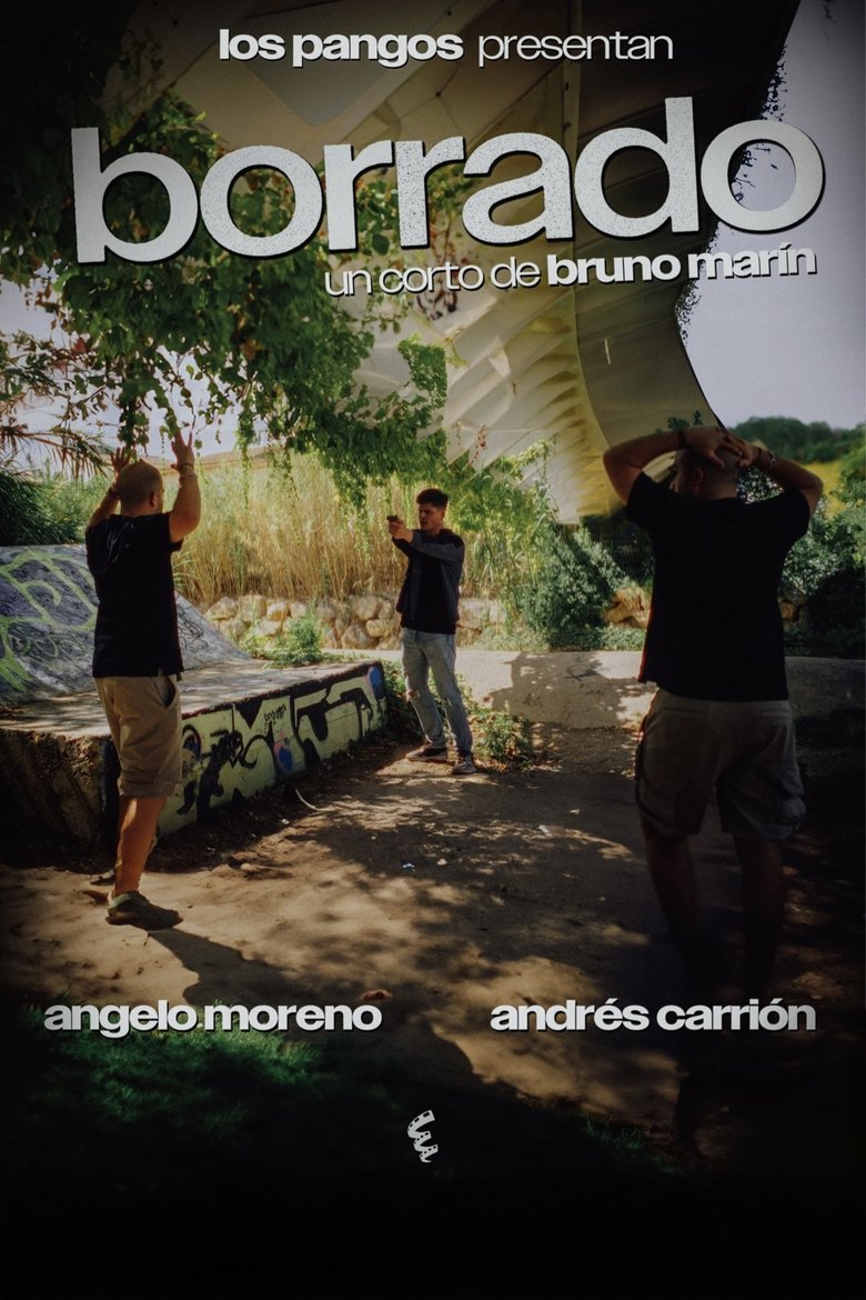 Poster of Borrado