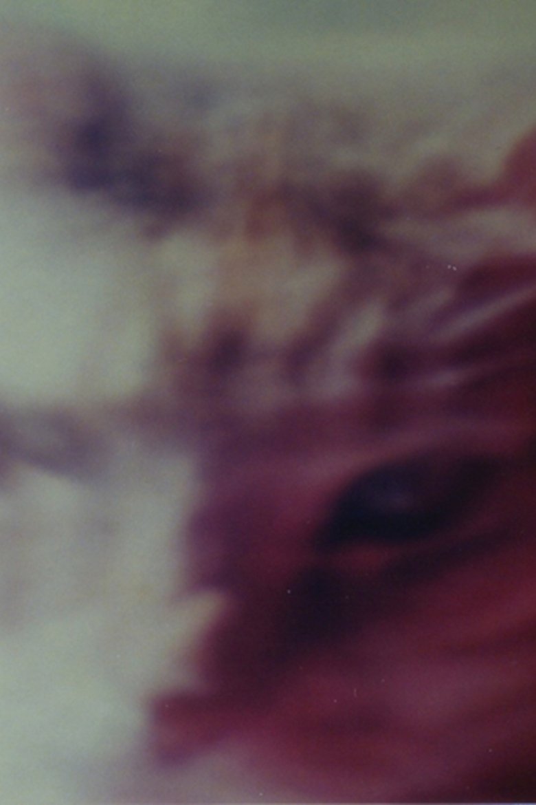 Poster of Two Cats