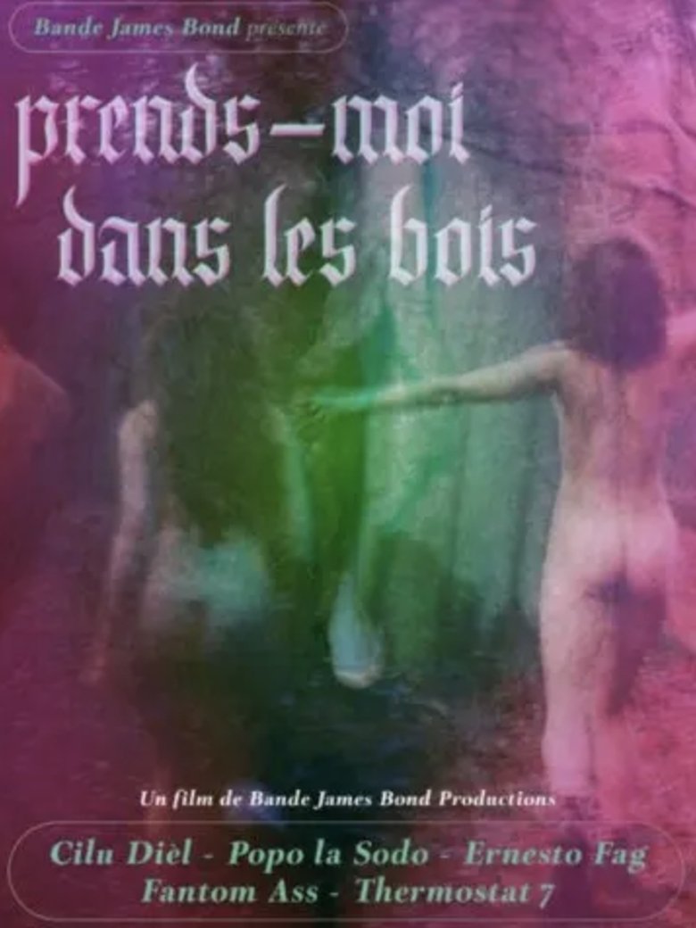 Poster of Take Me in the Woods