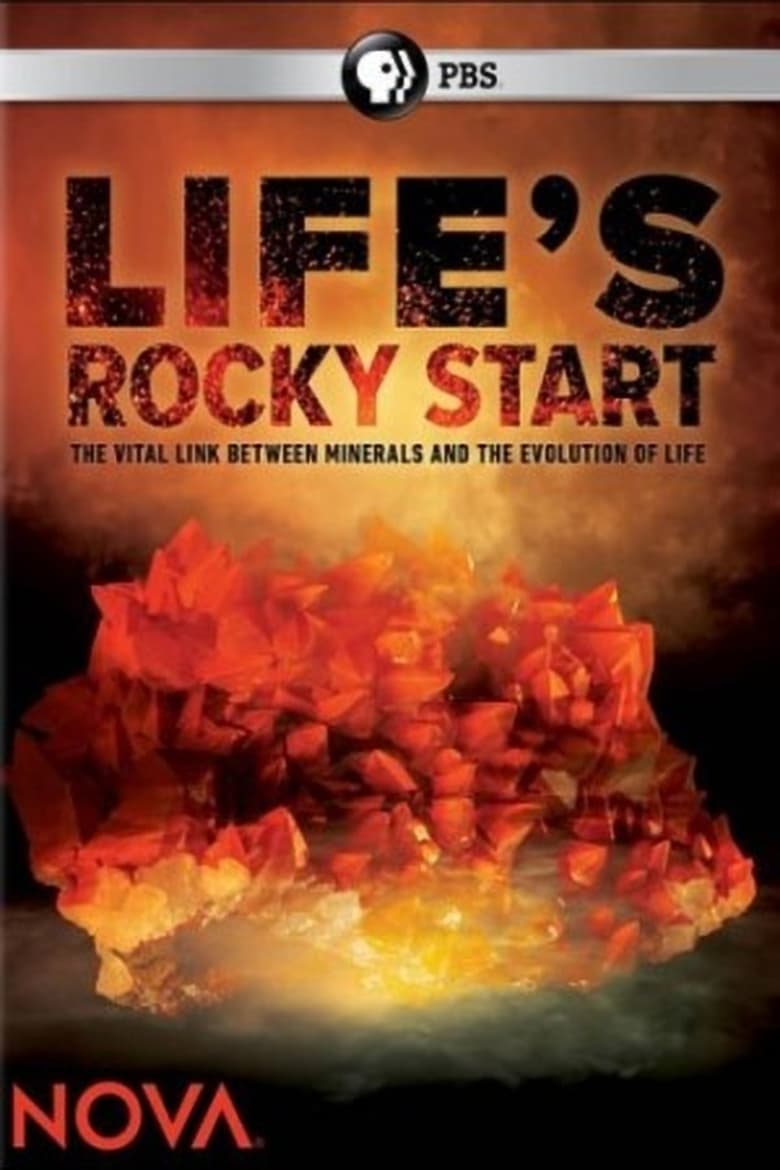 Poster of NOVA: Life's Rocky Start