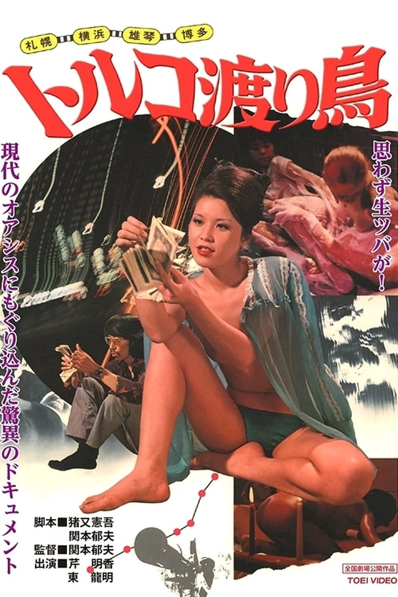 Poster of Sapporo, Yokohama, Ogoto, Hakata: Turkish Migratory Birds