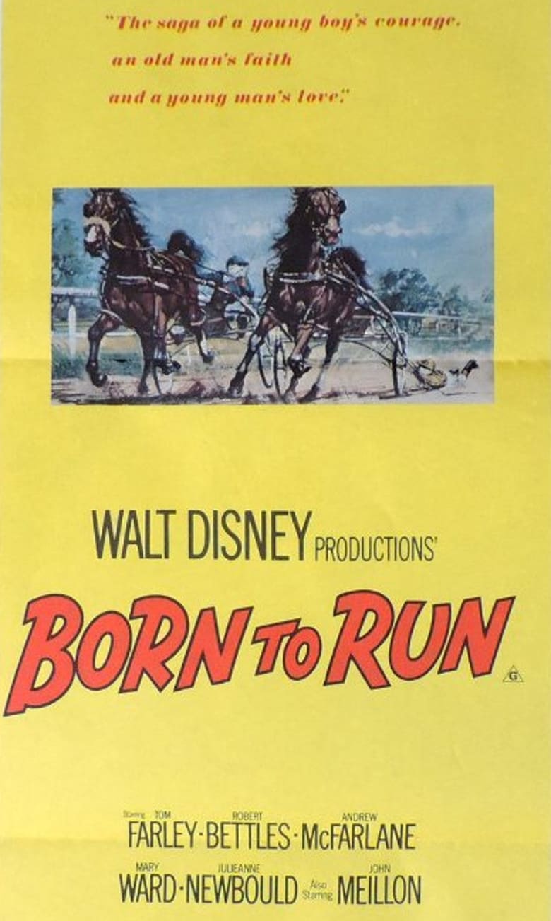 Poster of Born to Run