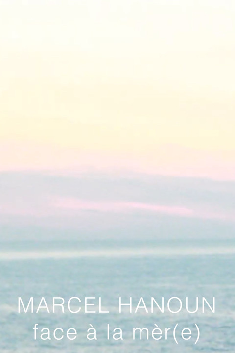 Poster of Face à la mèr(e)