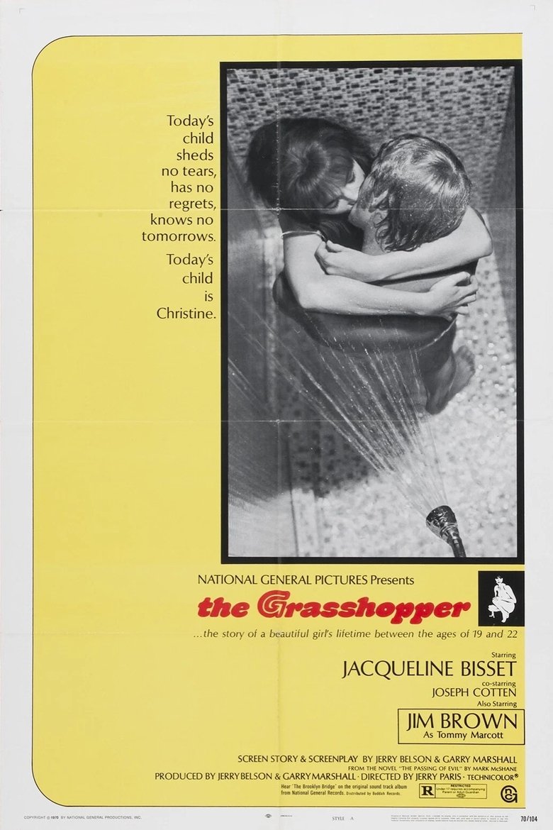 Poster of The Grasshopper