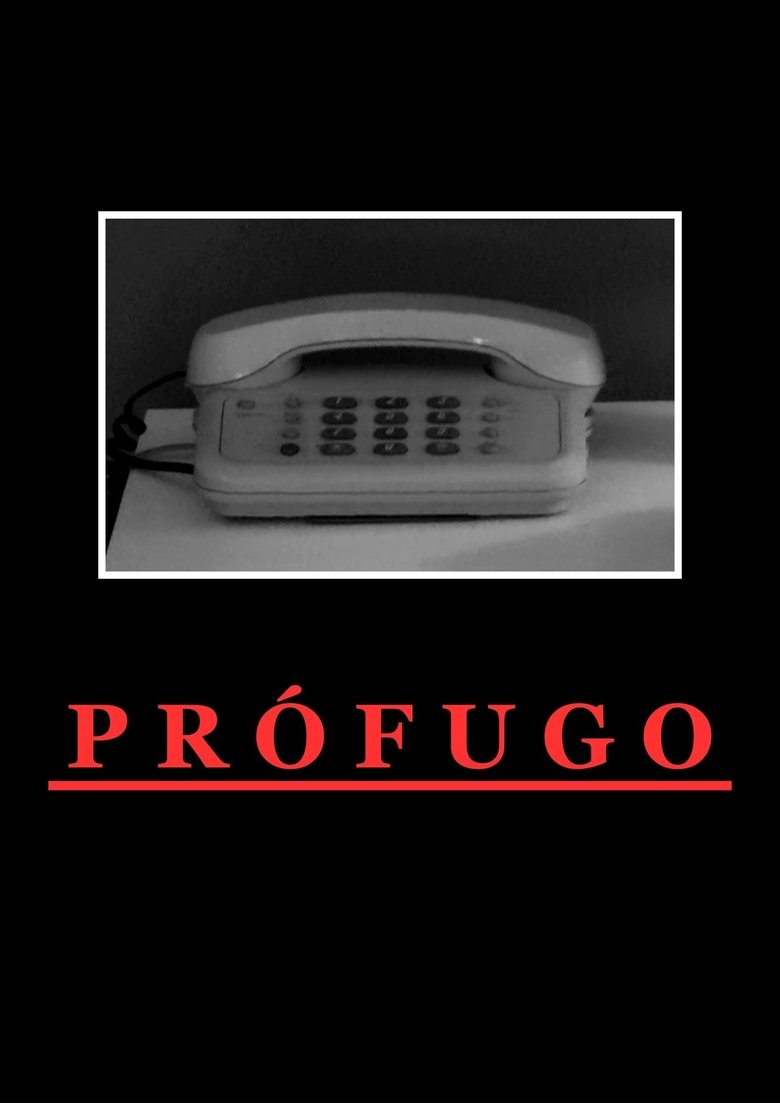Poster of Fugitive