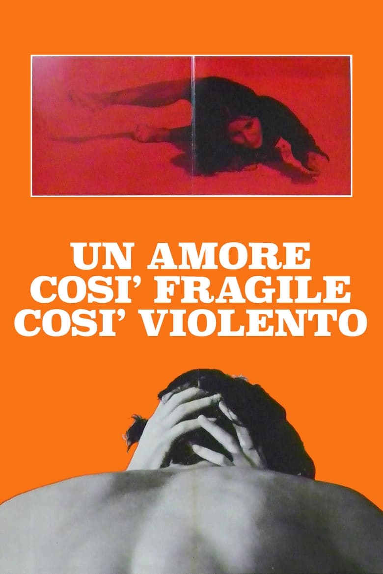 Poster of Un amore così fragile, così violento