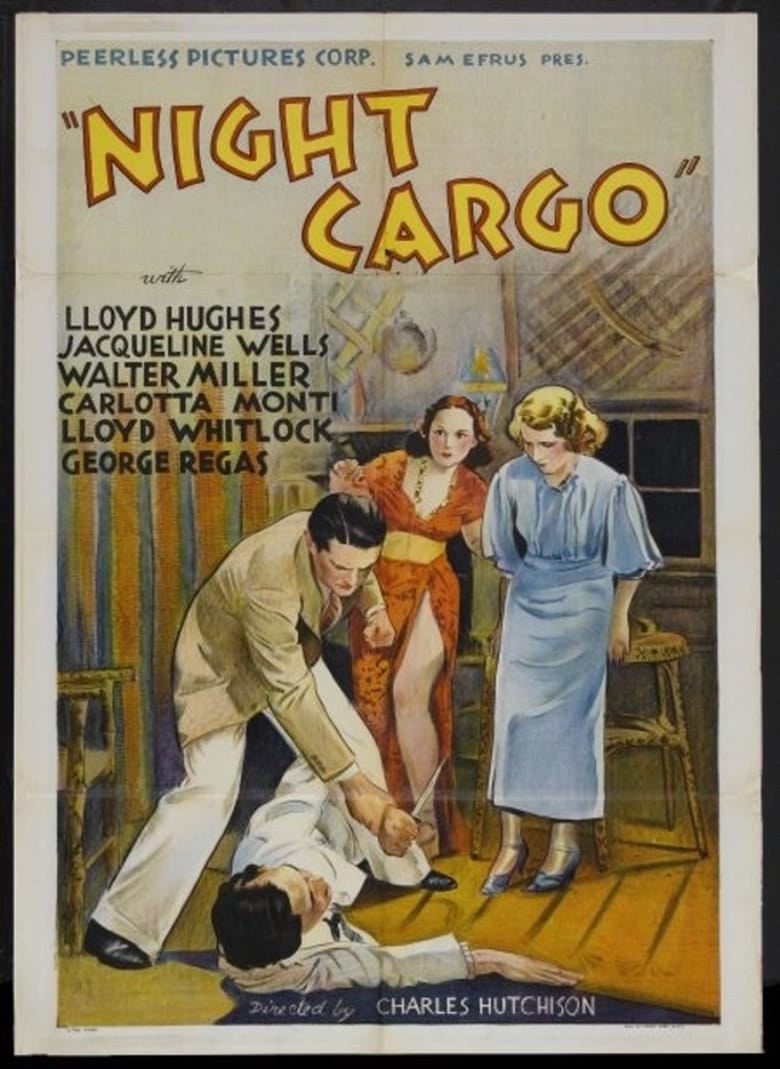 Poster of Night Cargo